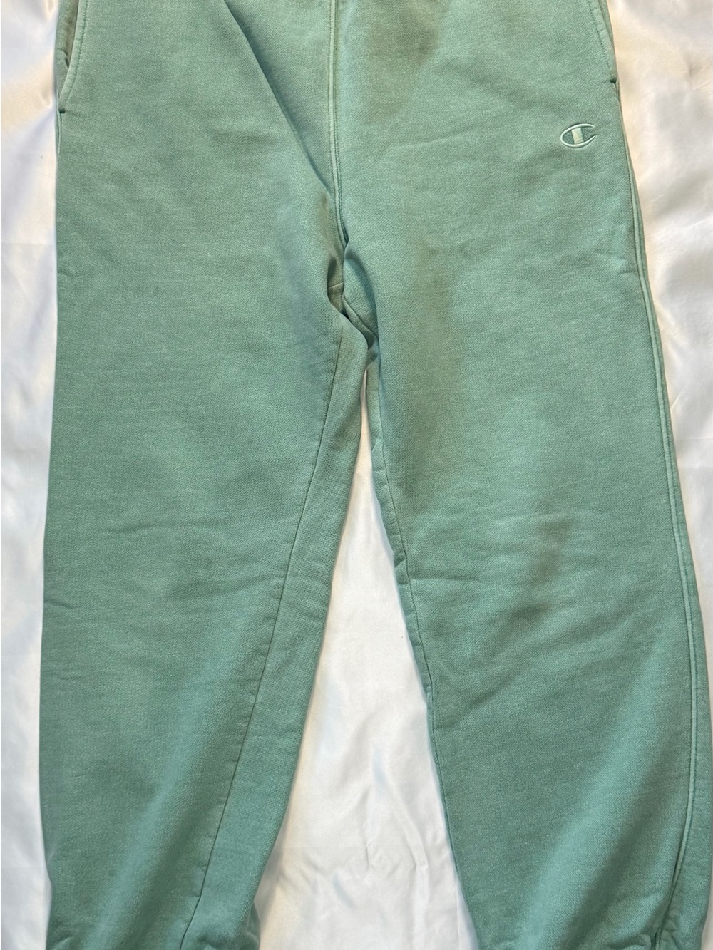 Champion Reverse Weave Sage Green Sweatpants